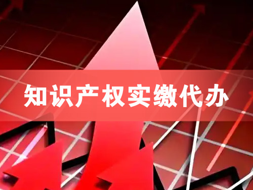 阳江知识产权实缴资本代办